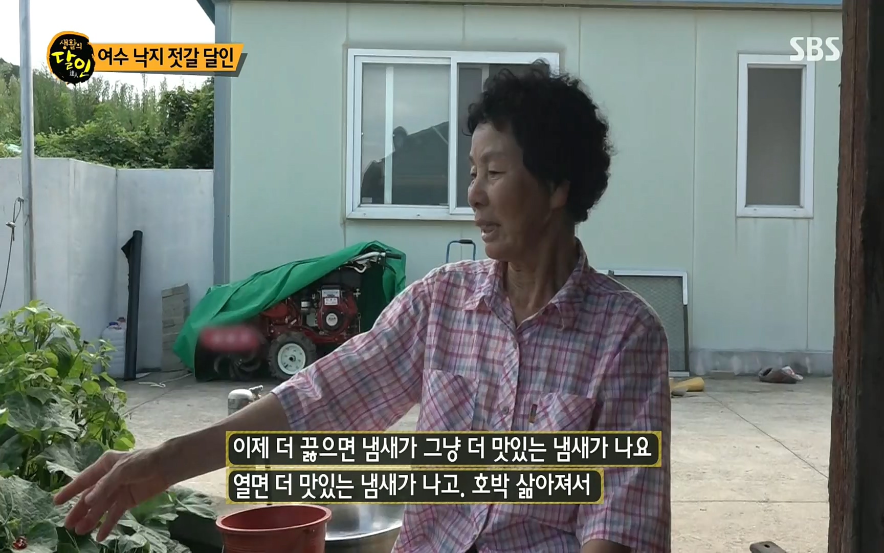생활의 달인.E855.220808p.H264-F1RST.mp4_20220809_201726.726.jpg