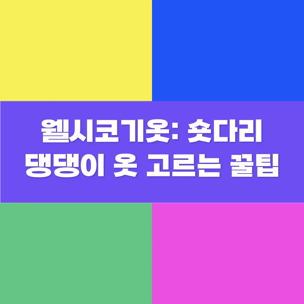 썸네일 이미지