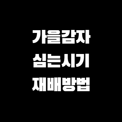 썸네일