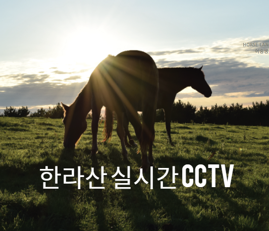  한라산 실시간 cctv (한라산 예약시스템)