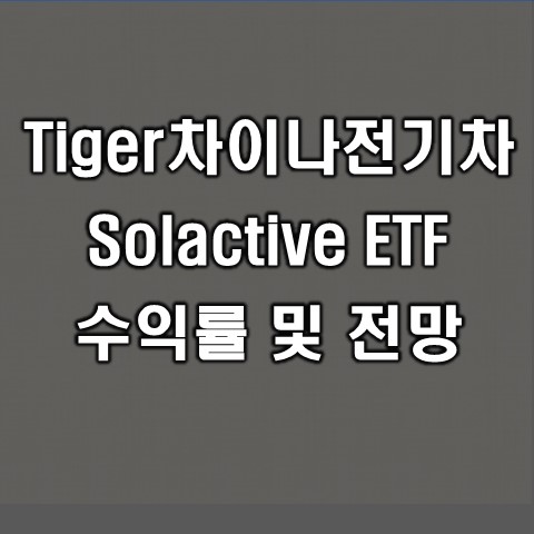  Tiger차이나전기차solactive 주가 전망 및 수익률 현황