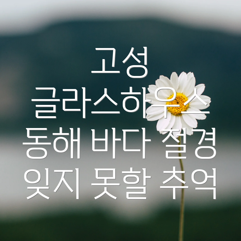 고성 글라스하우스