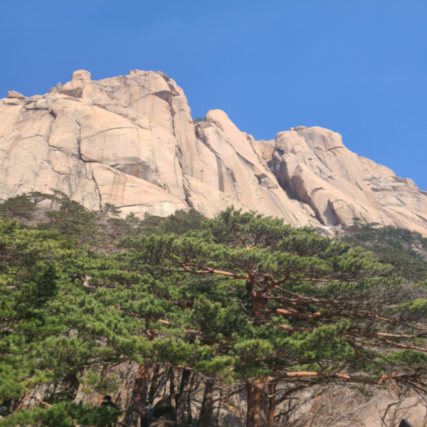  설악산 흔들바위 울산바위 등산코스