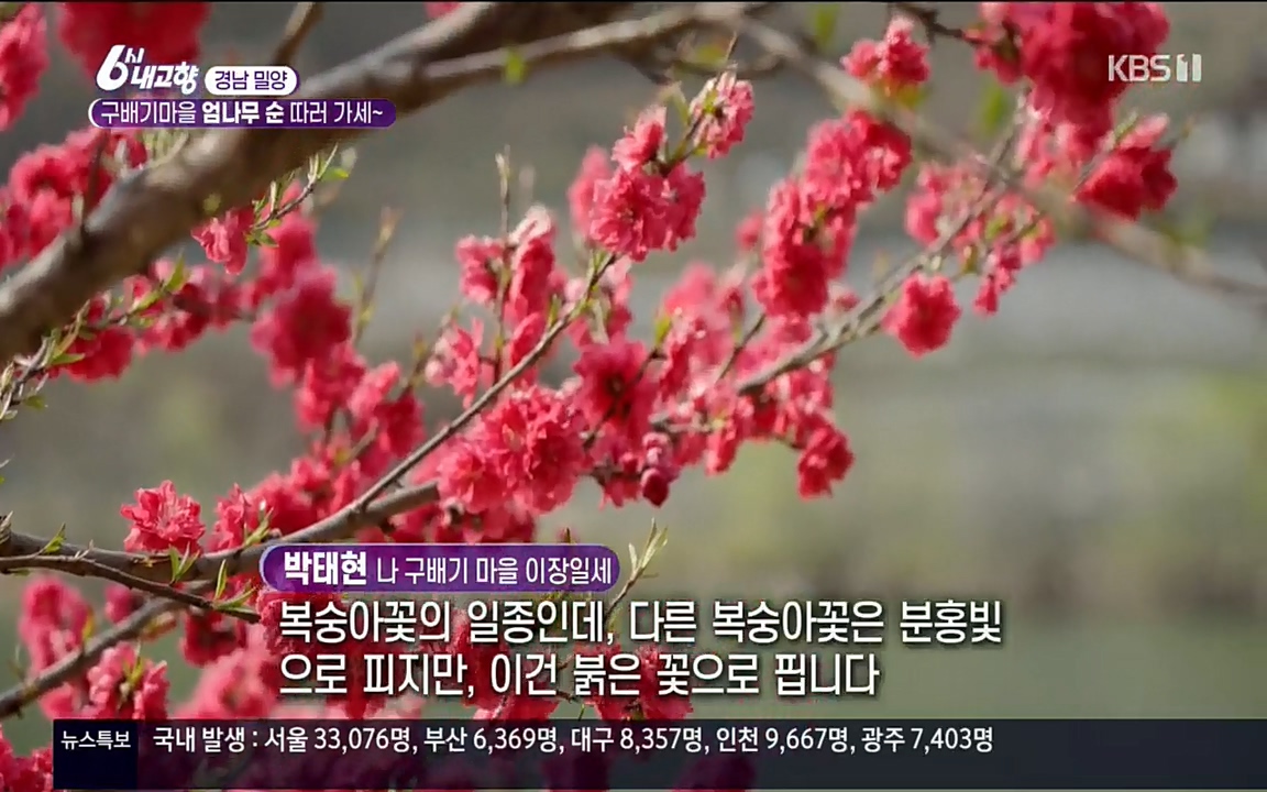 6시 내고향.E7510.220414p.H264-F1RST.mp4_20220419_182019.261.jpg