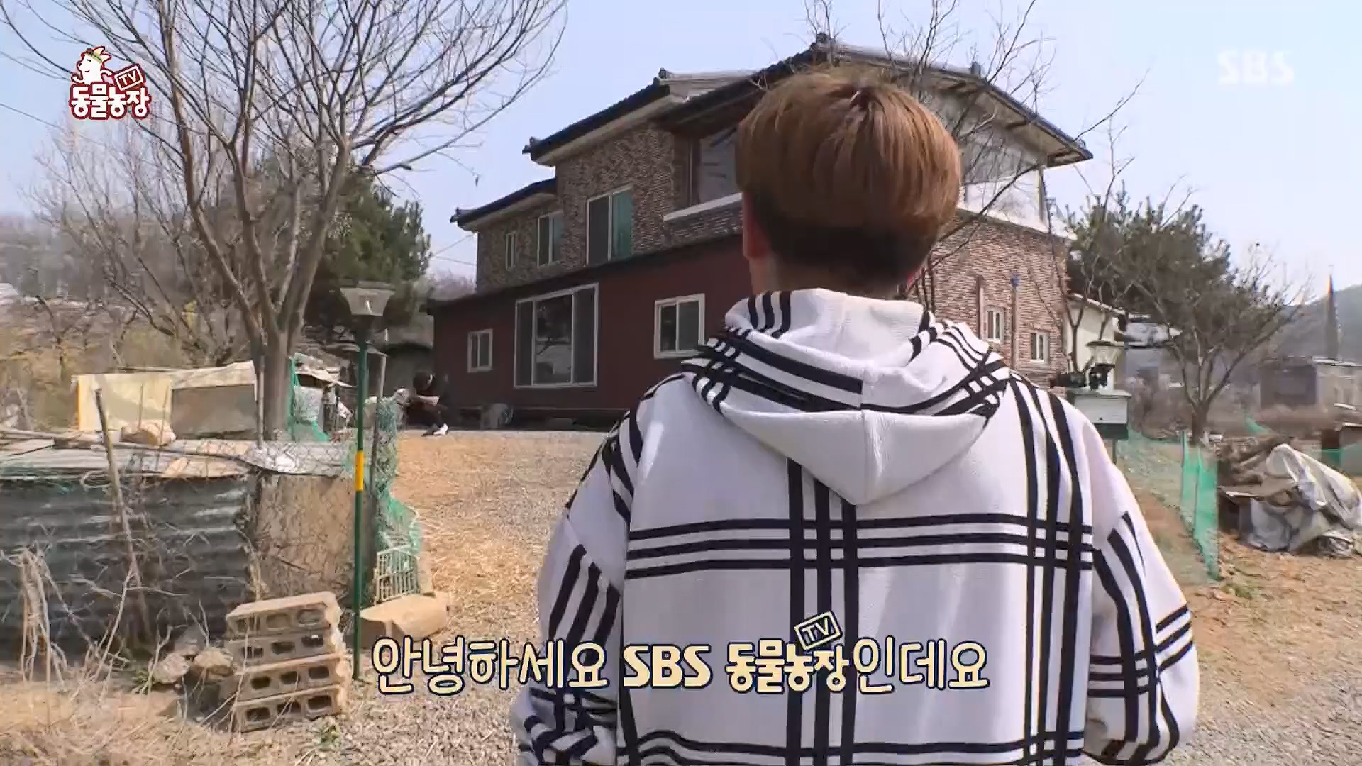 TV 동물농장.E1119.230507p.H264-F1RST.mp4_20230507_135855.335.jpg