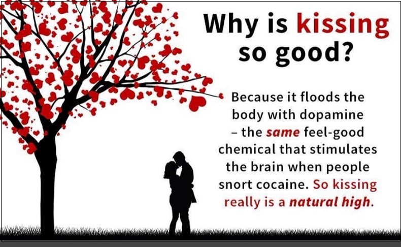  키스가 건강에 좋은 16가지 이유 16 Reasons to Smooch: How Kissing Benefits Your Health