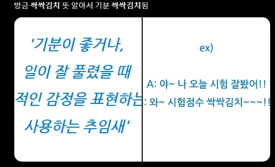 싹싹김치 뜻 밈 유래 사용법_2