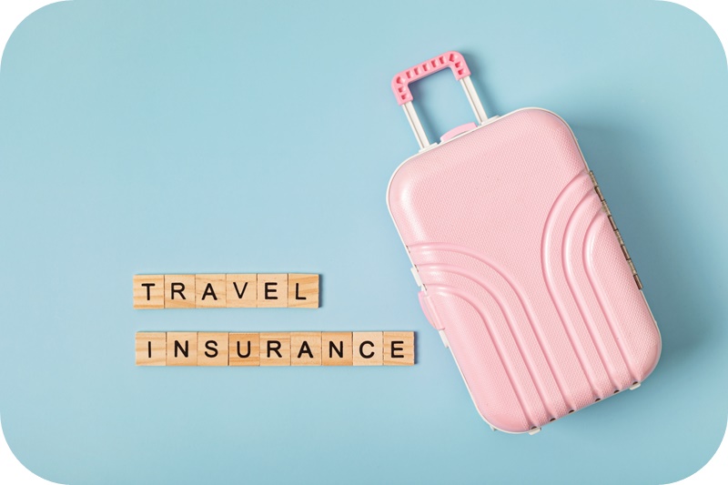핑크색-캐리어-여행자-보험-글자-박스