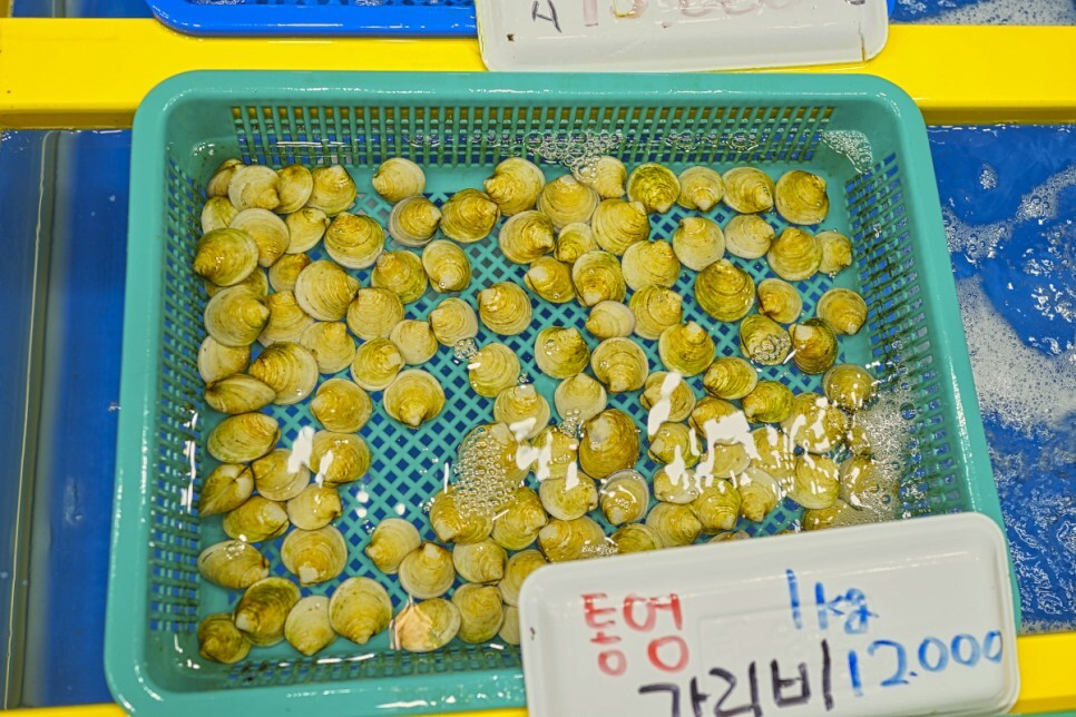 조개