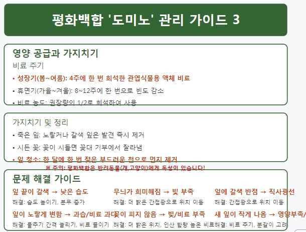 가이드3