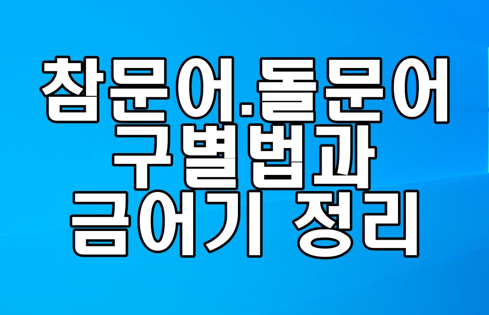  참문어 돌문어 구별법과 금어기 정리