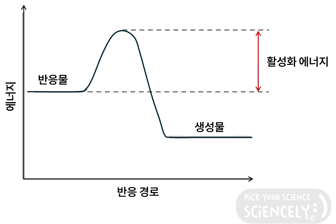 화학 반응, 활성화 에너지, 반응물, 생성물, 반응 경로