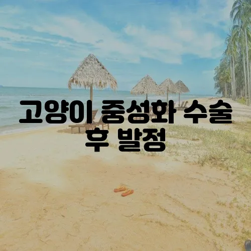 고양이 중성화 수술 후 발정, 제대로 이해하고 관리해야 합니다!