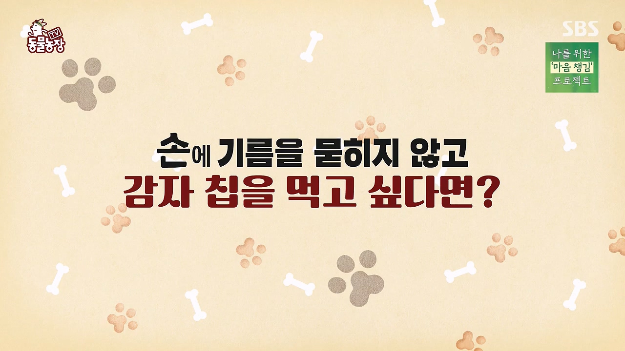 TV 동물농장.E1172.240520p-NEXT.mp4_20240519_162139.497.jpg