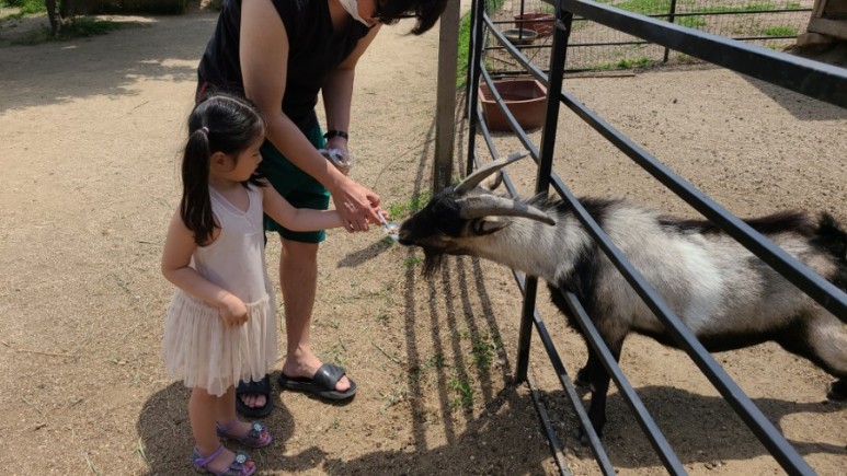 서울 근교 아이와 갈만한곳 [서울근교 갈만한곳] 남양주 산들소리수목원 11