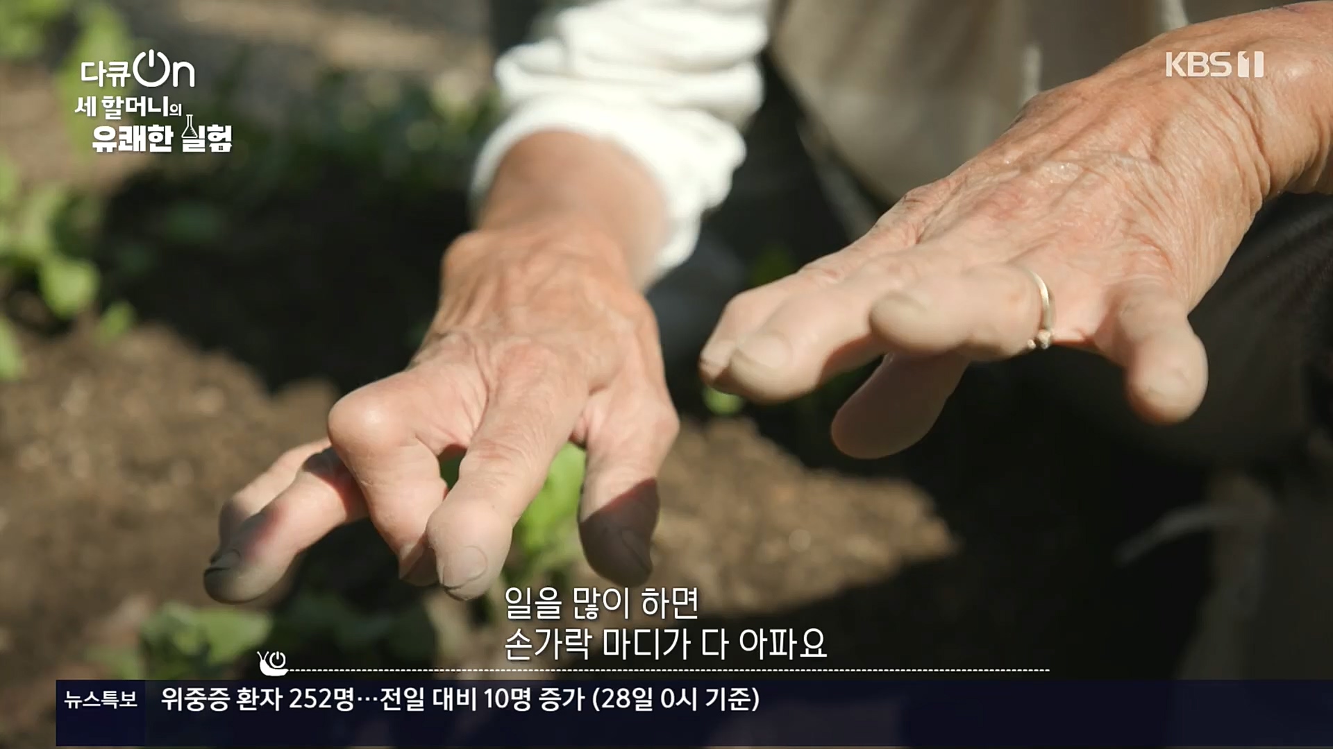 다큐 On.E166.221028p.H264-F1RST.mp4_20221031_194401.337.jpg