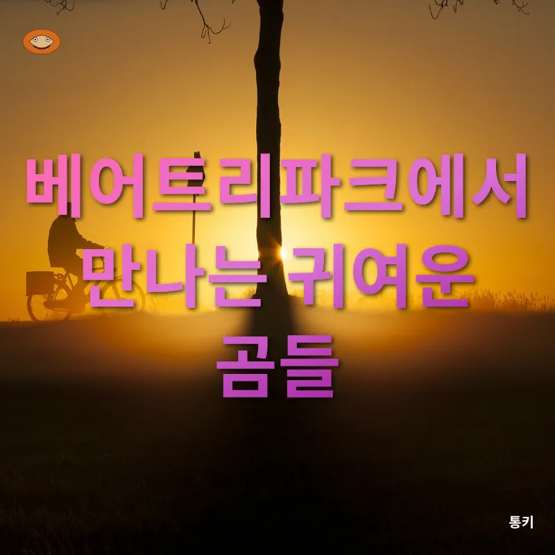 자전거여행_2
