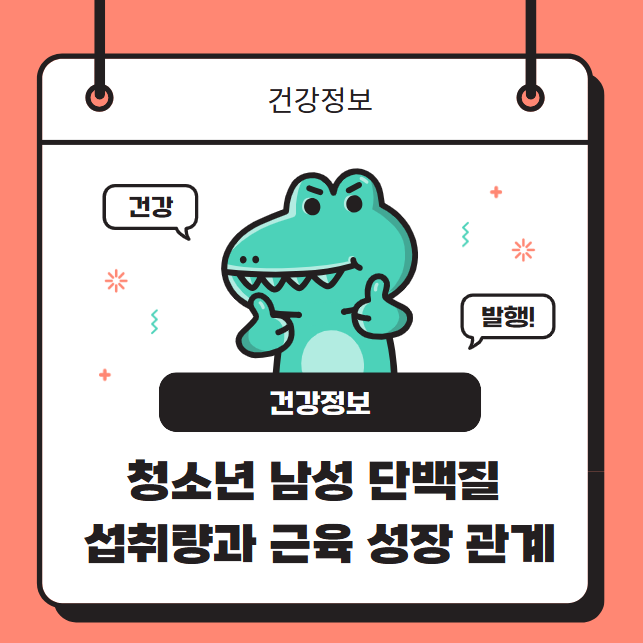 청소년 남성 단백질 섭취량과 근육 성장의 상관관계