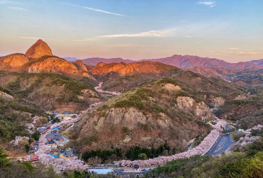 마이산 십리벚꽃길