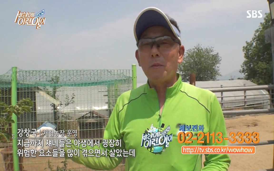 순간포착 세상에 이런일이.E1182.220532p-NEXT.mp4_20220601_173148.372.jpg