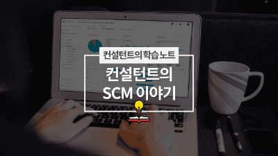 컨설턴트의 SCM 이야기