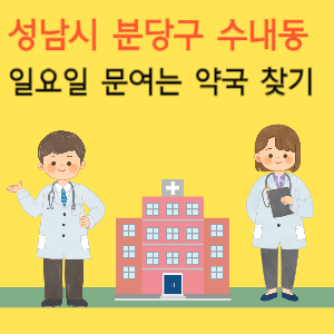 성남시 분당구 수내동 일요일 문여는 약국 찾기