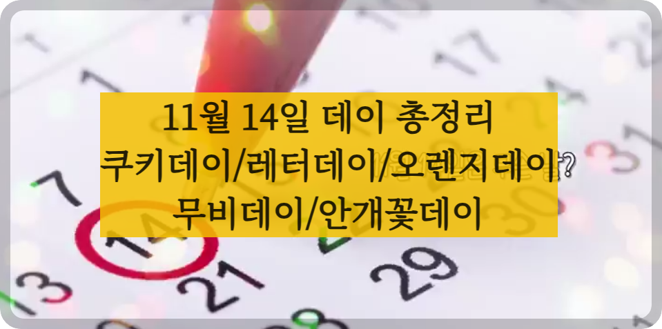 11월14일