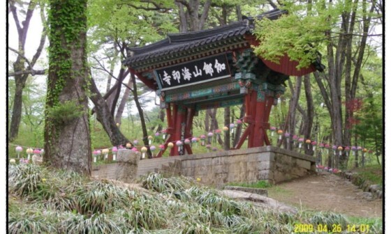 영상일기/20230216/나대자연 68