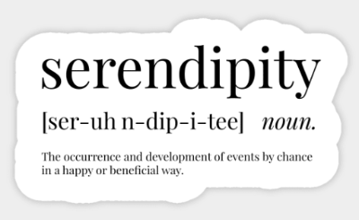 토익 영어 단어 Serendipity&#44; Euphoria
