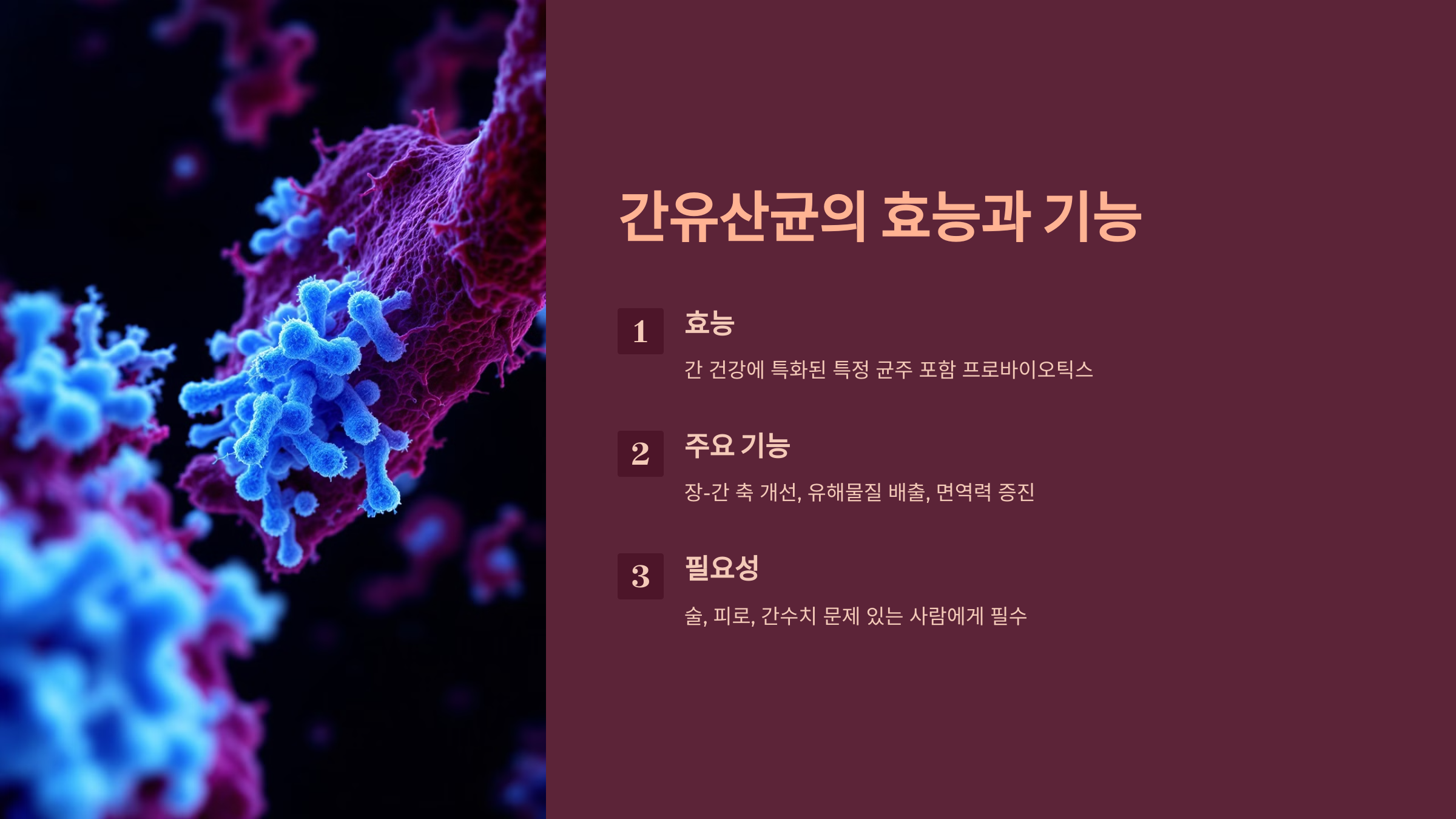 간유산균 효능과 기능을 소개한 PPT 이미지