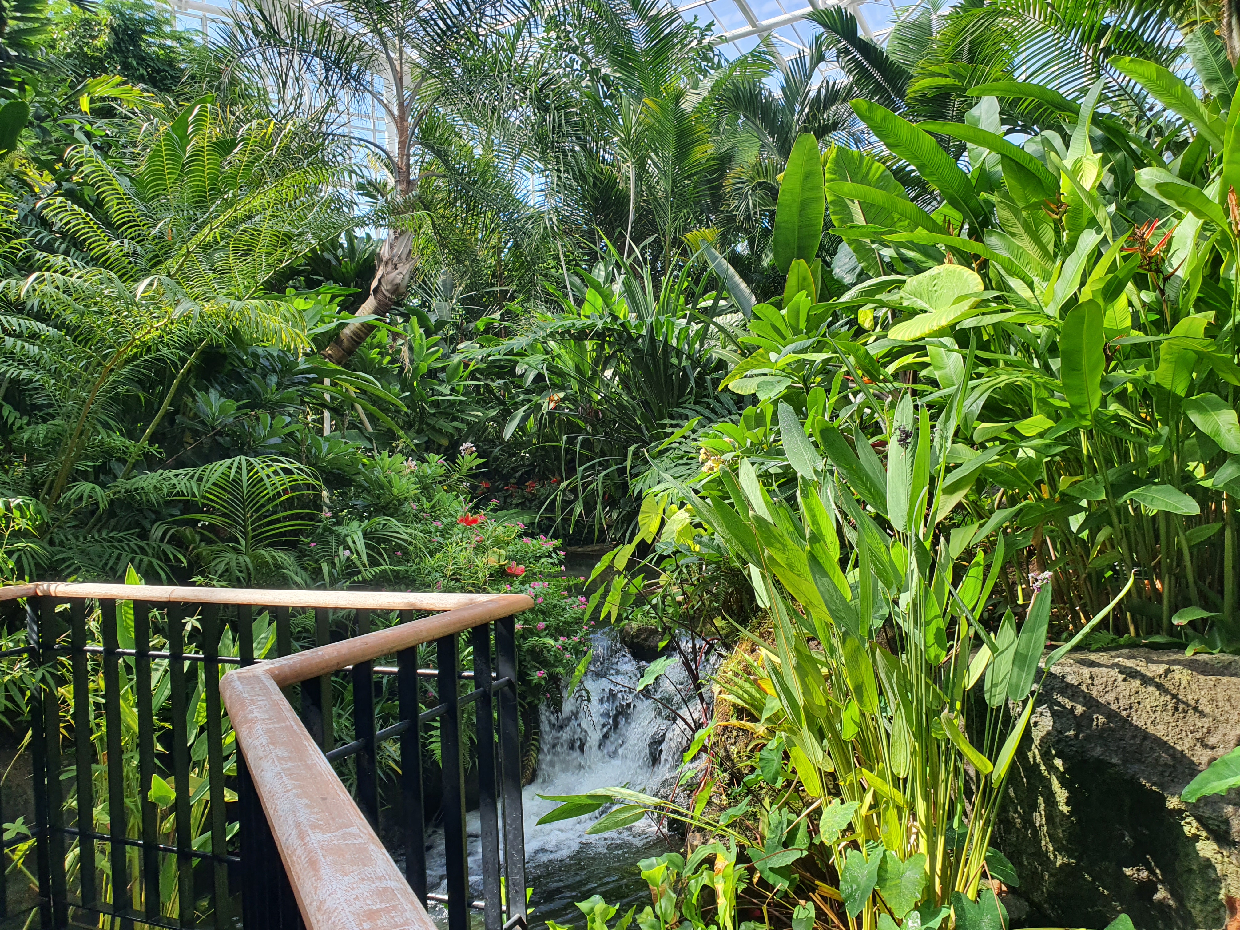 국립세종수목원 야간 개장 이용 안내 할인 혜택 세종 가볼만한 곳