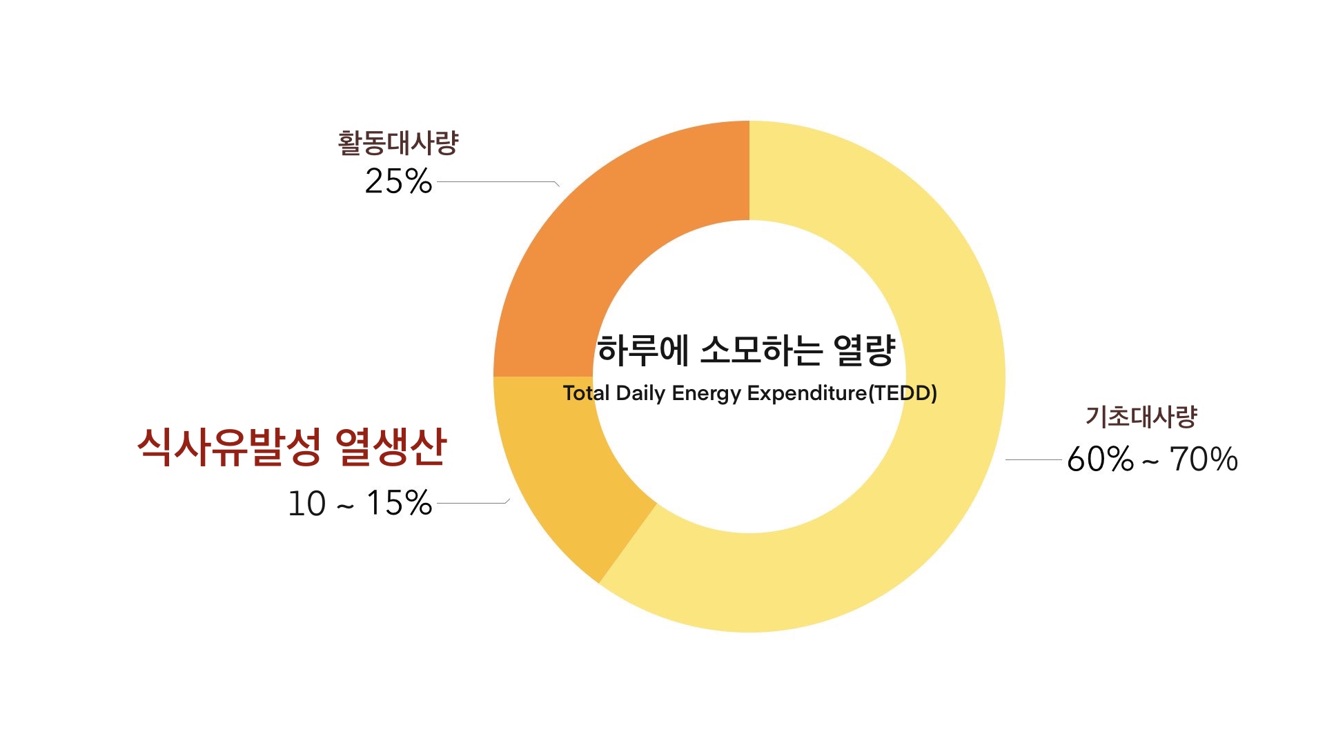 하루에 소모하는 열량의 비율을 나타내는 그래프 입니다.
기초대사량 60~70%&#44; 활동대사량 25%&#44; 식사유발성열생산 10~15%의 비율을 나타내고 있습니다.
