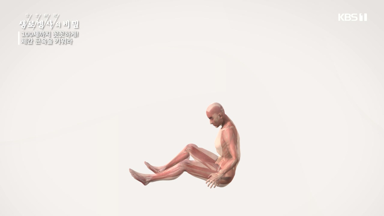 생로병사의 비밀.E885.231012p-NEXT.mp4_20231012_202321.051.jpg