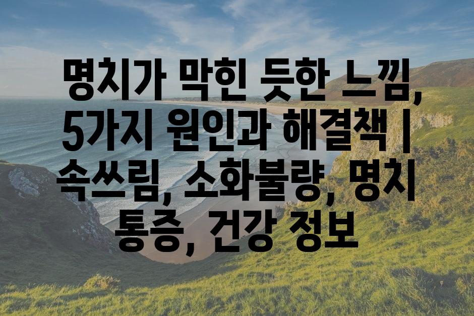 샘플 (86)