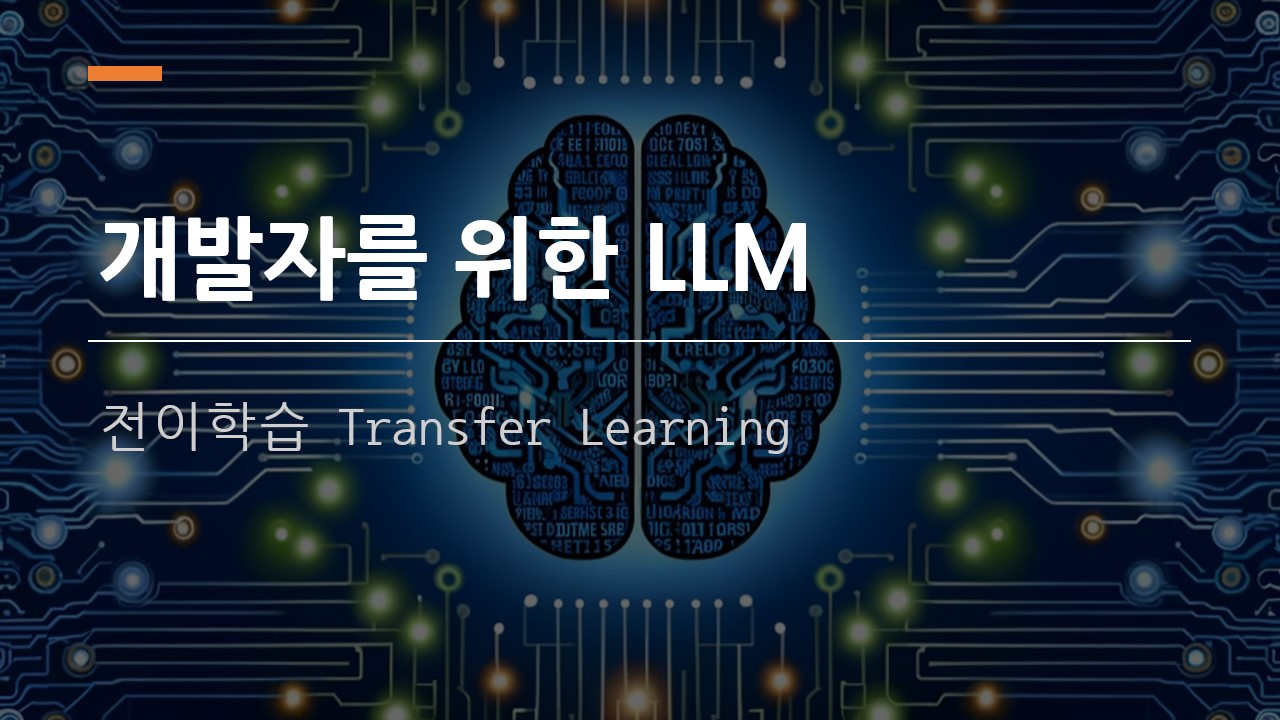  [개발자를 위한 LLM] 전이 학습 (Transfer Leanring)