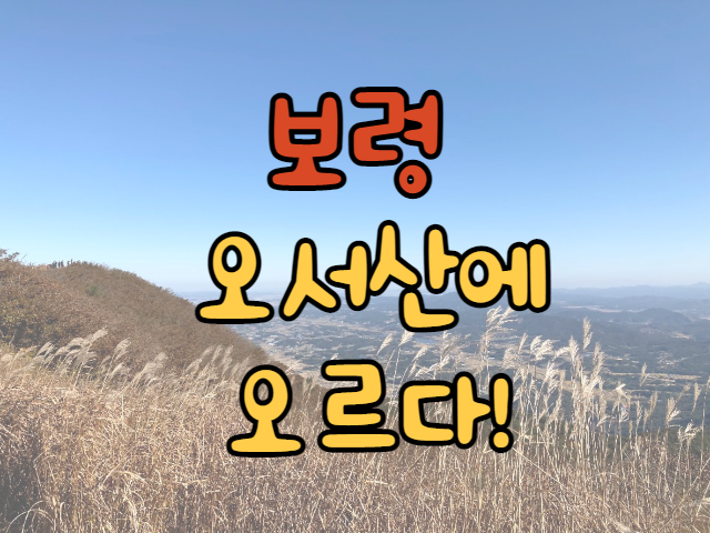  오서산 등린이 억새풀 본날