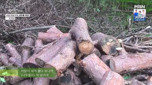 나는 자연인이다 631회 2024-11-13.mp4_20241114_195303.742.jpg