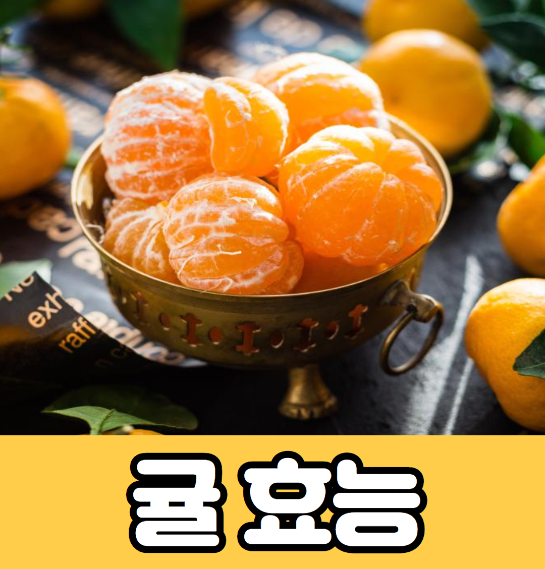 귤 효능 부작용