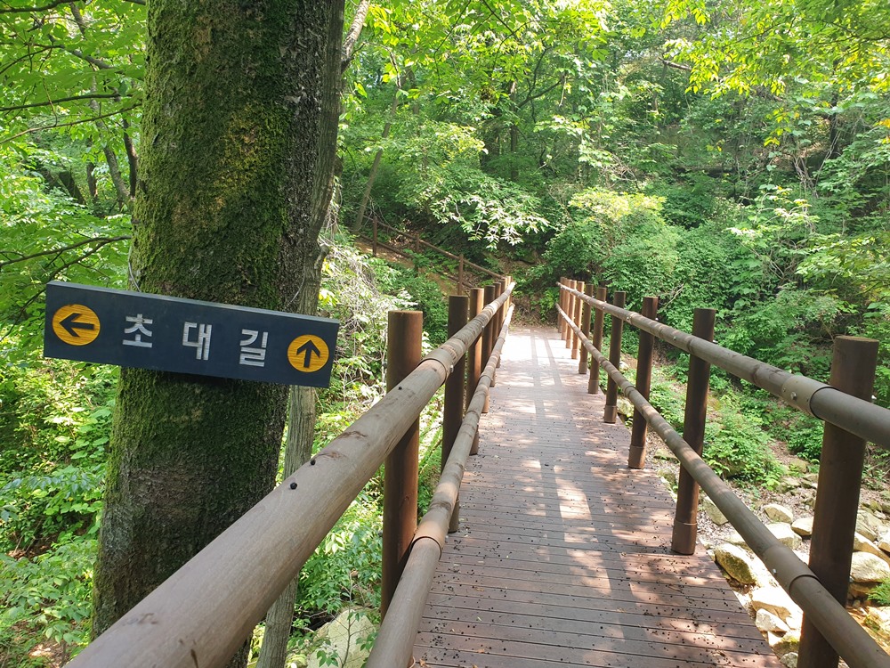 김병로-묘소에서-이준열사묘-가는-계곡숲길-이미지