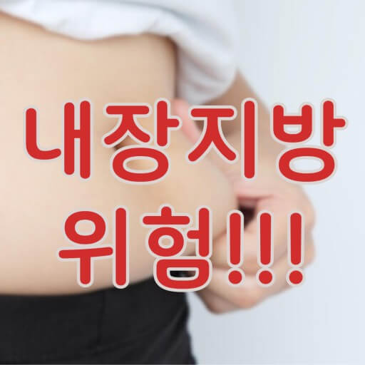 내장지방의 위험성 인식