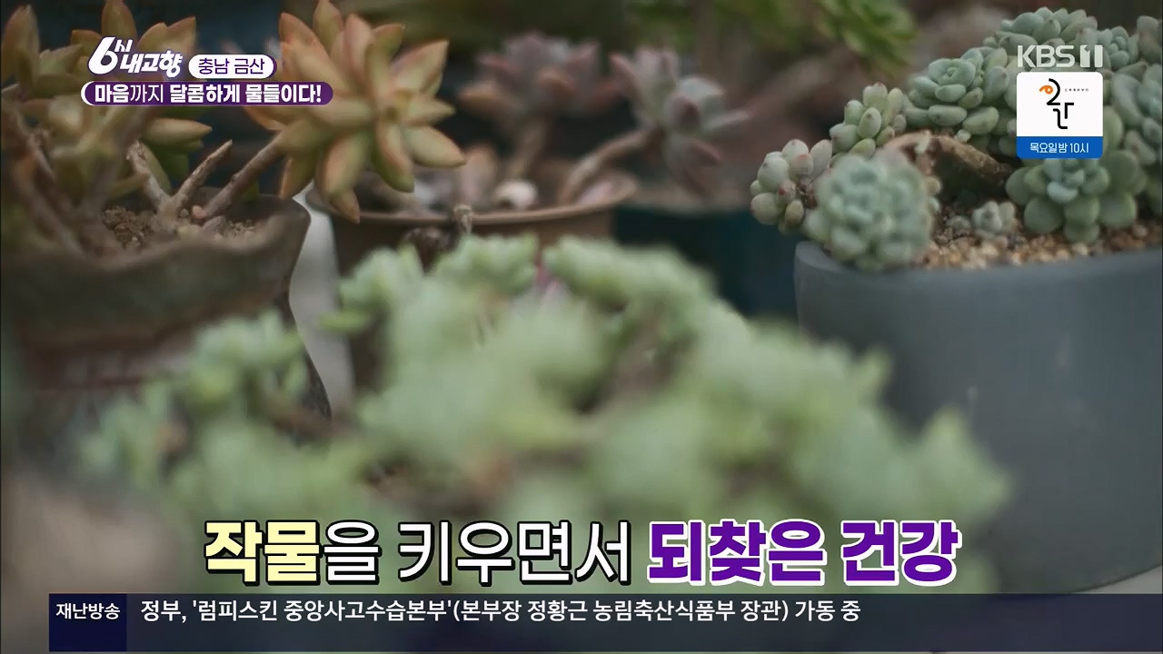 6시 내고향.E7922.231129p.H264-F1RST.mp4_20231129_203823.875.jpg