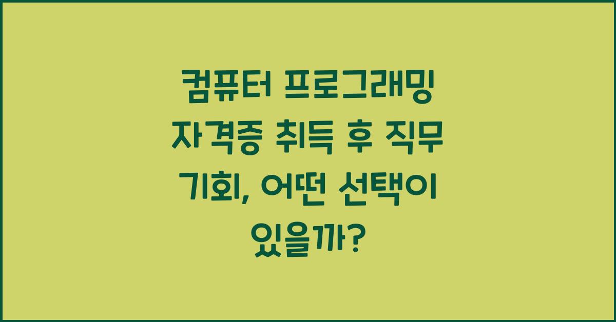 컴퓨터 프로그래밍 자격증 취득 후 직무 기회
