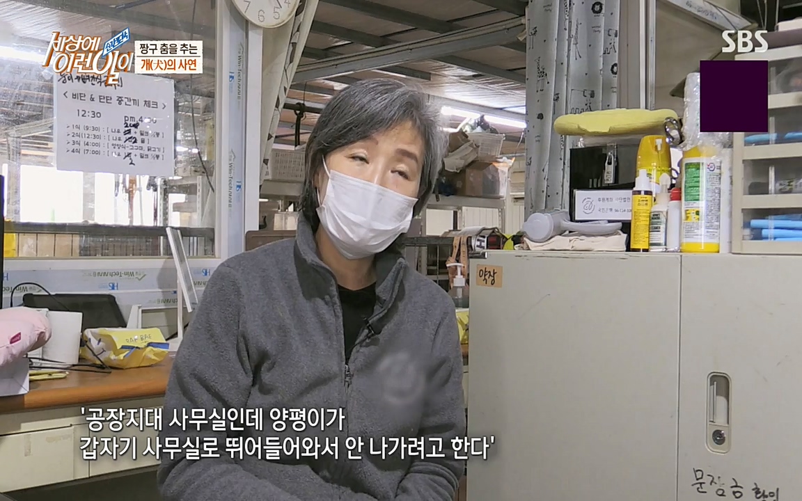 순간포착 세상에 이런일이.E1179.220511p-NEXT.mp4_20220511_175841.369.jpg