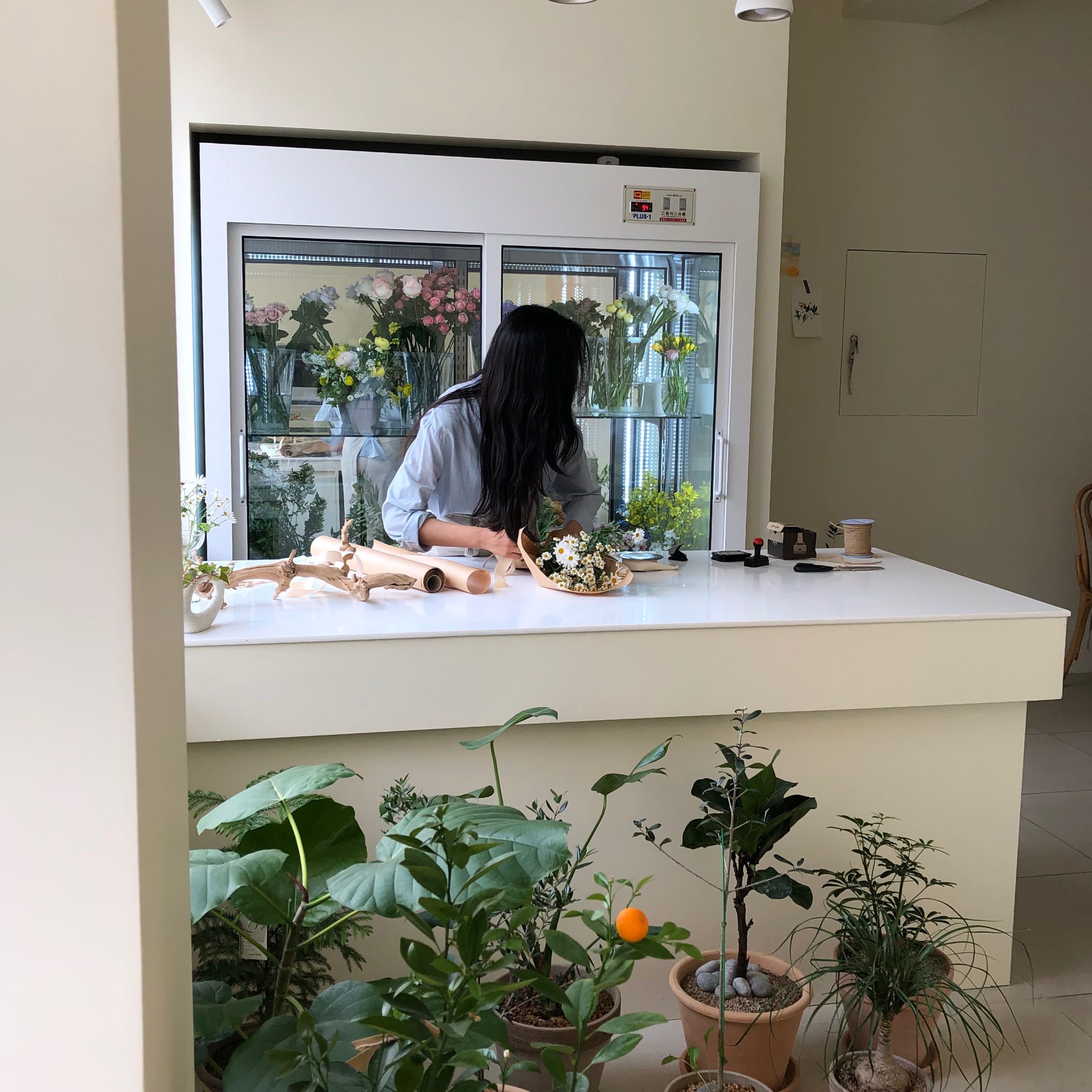 지산플라워 이미지