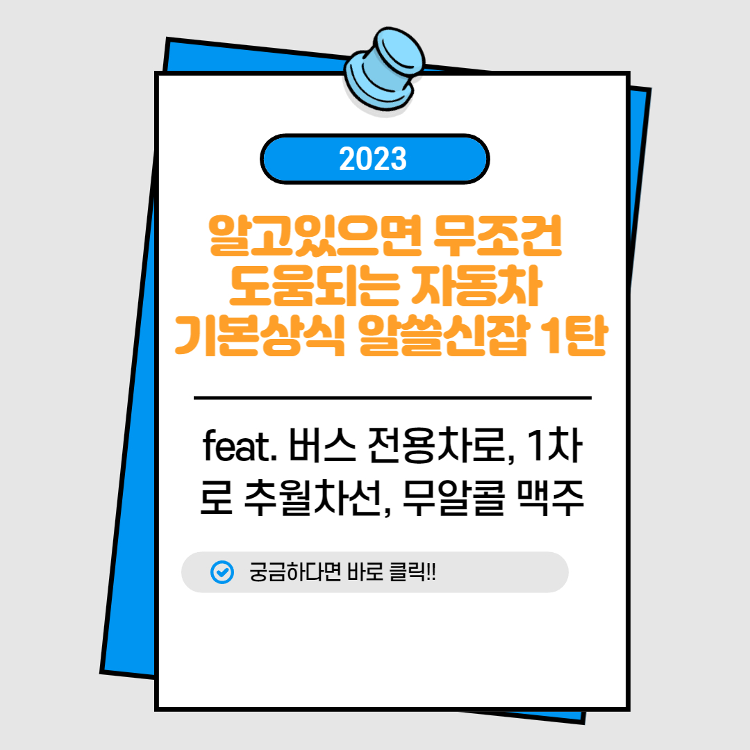  알고 있으면 무조건 도움되는 자동차 기본상식 알쓸신잡 1탄(feat. 버스전용차로, 추월차로, 무알콜 맥주)