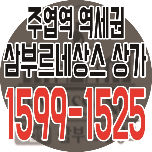 일산 주엽역 삼부르네상스 지하철을 품은 상가 분양소식 안내!