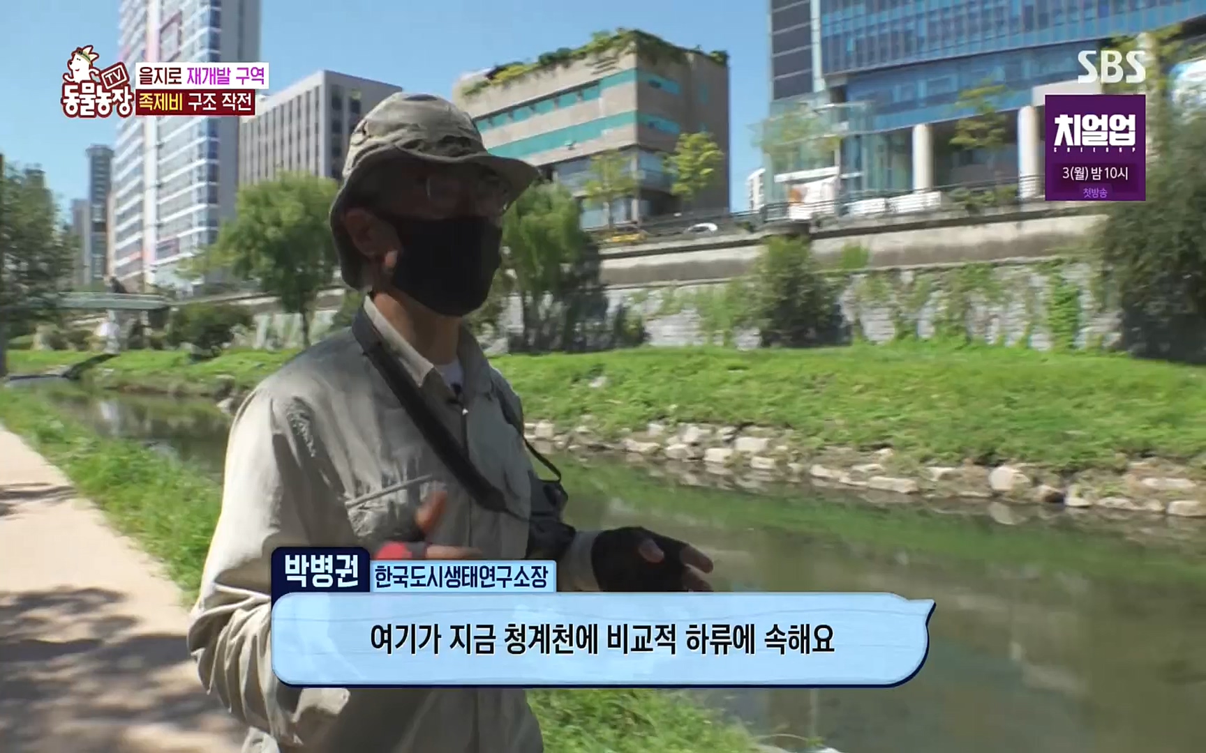 TV 동물농장.E1088.220925p.H264-F1RST.mp4_20220925_174402.572.jpg