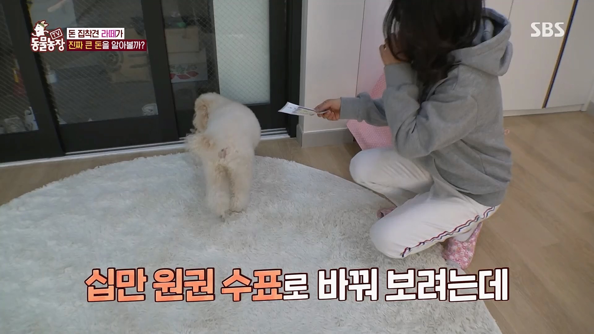 TV 동물농장.E1107.230205p.H264-F1RST.mp4_20230205_173934.214.jpg