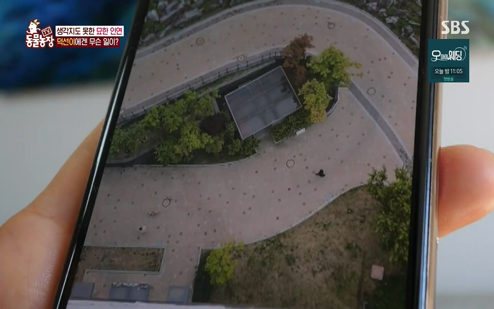 TV 동물농장.E1073.220612p.H264-F1RST.mp4_20220612_181341.903.jpg