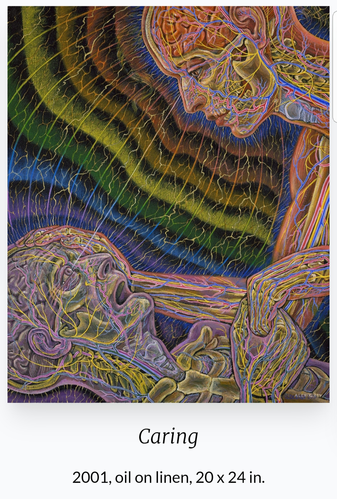 Alex Grey(1953~ ) 작품
'Caring'